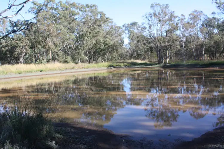 Fifth view of Homely rural property listing, 0 Wiemers Road, Broxburn QLD 4356
