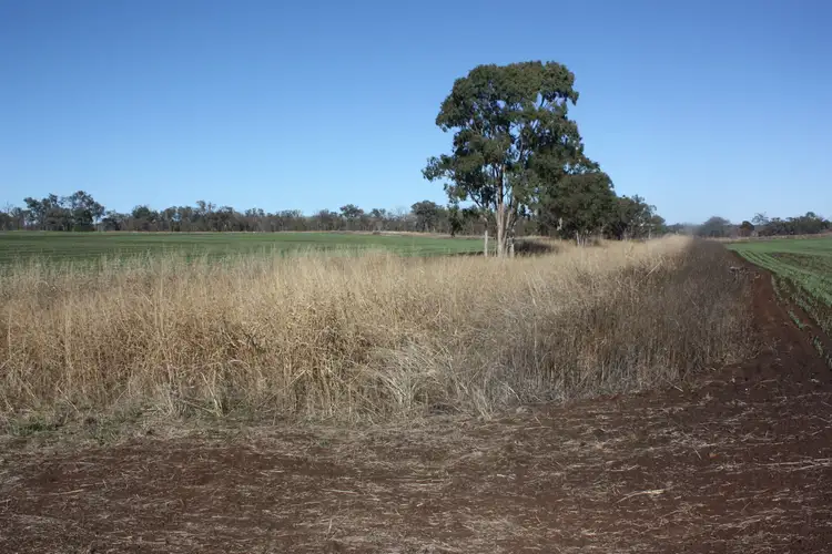 Sixth view of Homely rural property listing, 0 Wiemers Road, Broxburn QLD 4356