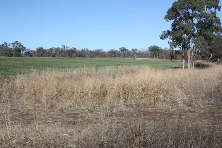 Seventh view of Homely rural property listing, 0 Wiemers Road, Broxburn QLD 4356