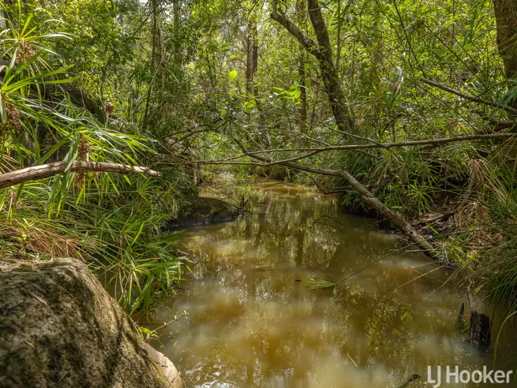 Third view of Homely land listing, 62 Felicity Road, The Palms QLD 4570