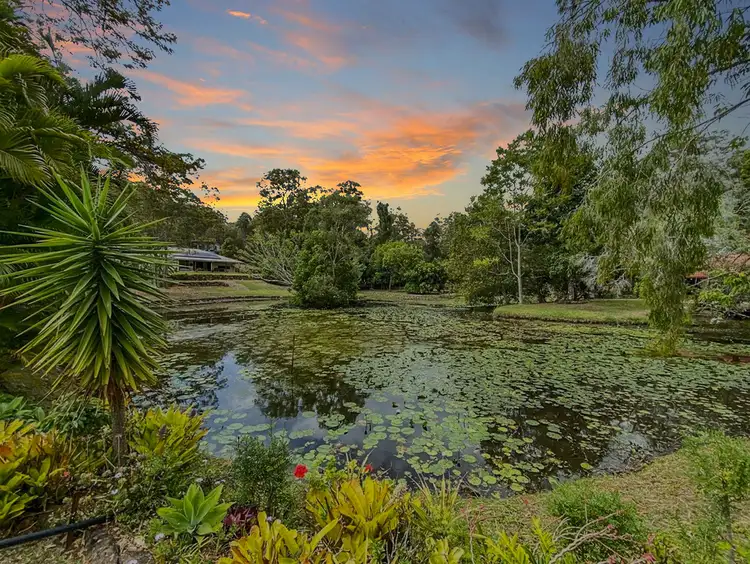 53 Coorabin Court, Tallebudgera QLD 4228