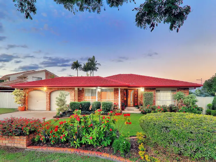 Main view of Homely house listing, 11 Alphitonia Crescent, Sunnybank Hills QLD 4109