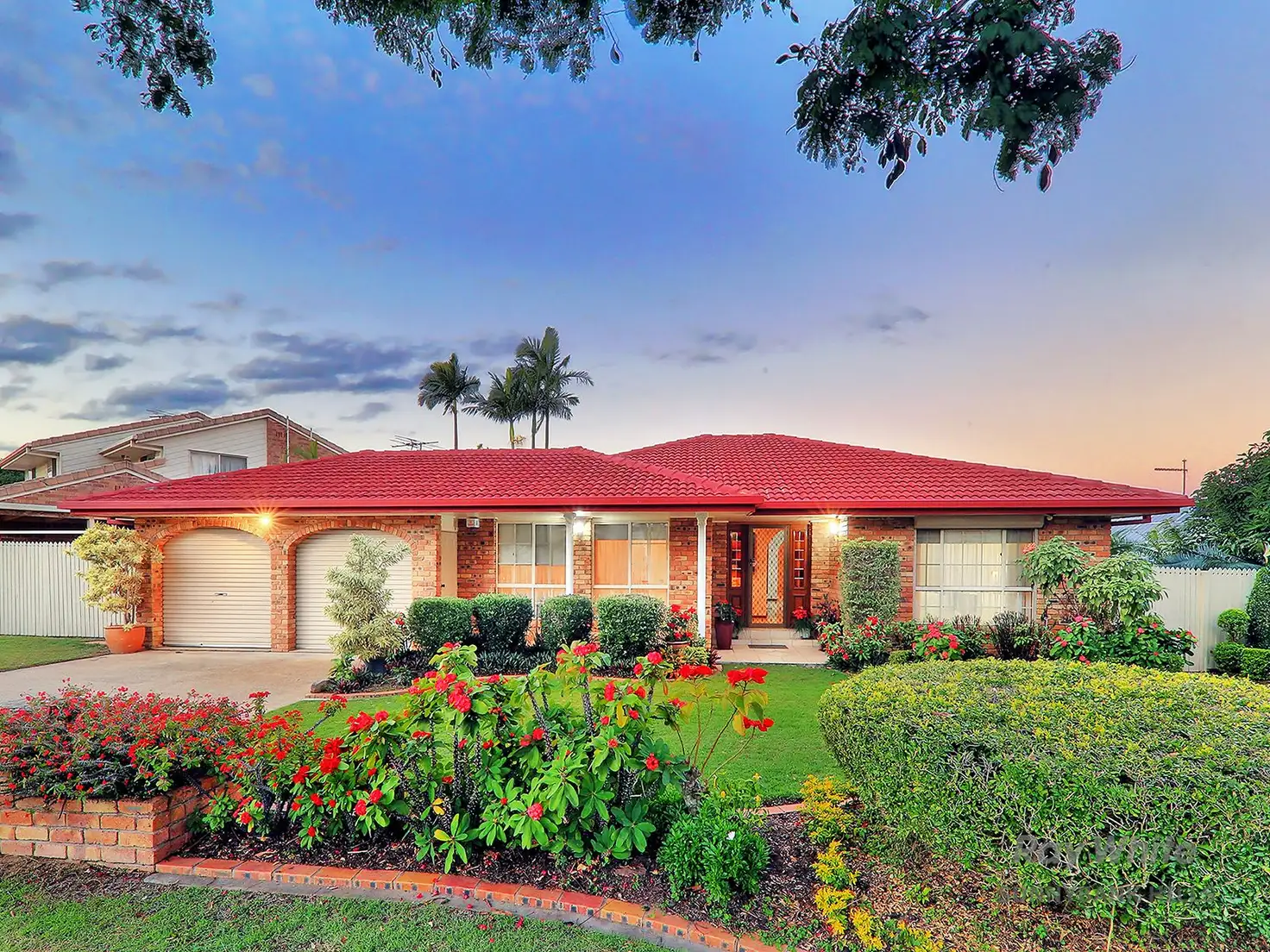 Main view of Homely house listing, 11 Alphitonia Crescent, Sunnybank Hills QLD 4109