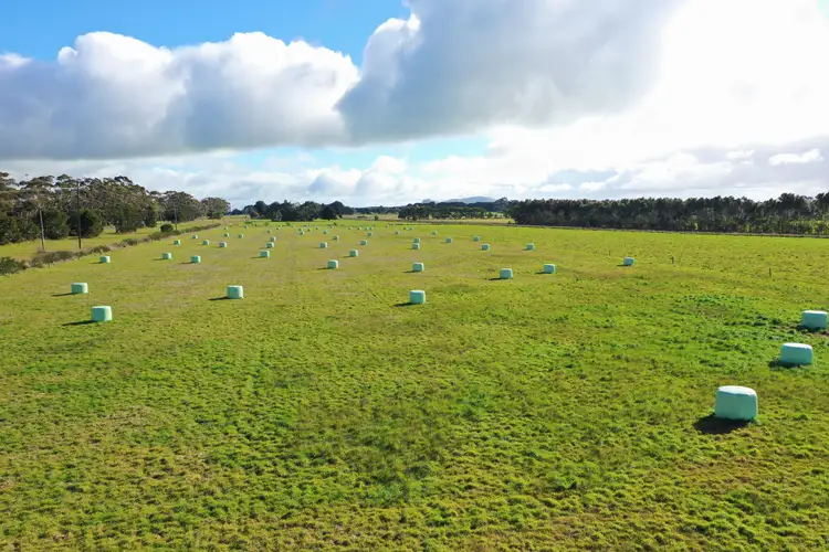 Fourth view of Homely rural property listing, . Princes Highway, Boorcan VIC 3265