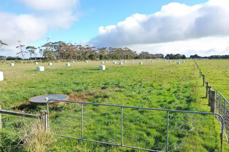 Sixth view of Homely rural property listing, . Princes Highway, Boorcan VIC 3265