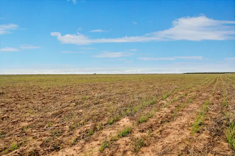 Fifth view of Homely land listing, Lot 220 Applebee Road, Middle Beach SA 5501