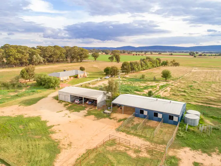 Second view of Homely rural property listing, 695 Conimbla Road, Cowra NSW 2794
