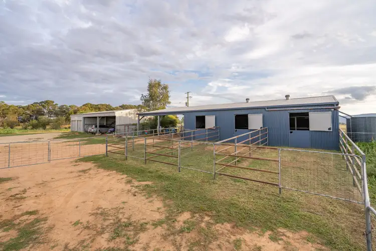 Fifth view of Homely rural property listing, 695 Conimbla Road, Cowra NSW 2794