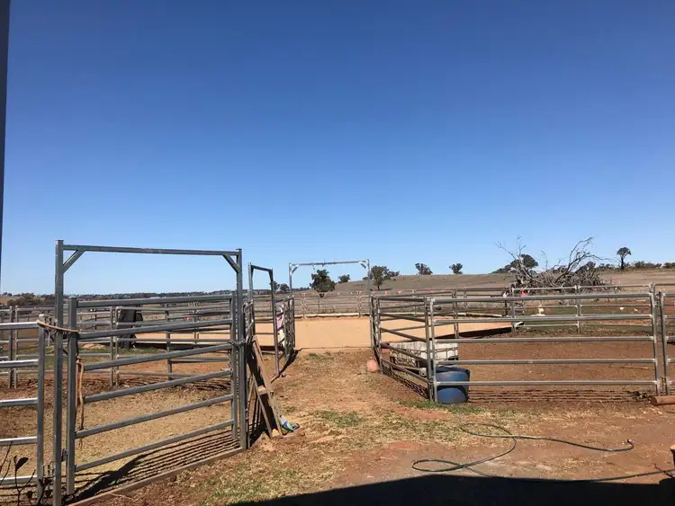 Fifth view of Homely house listing, LOT 287 Newell Highway, Trewilga NSW 2869