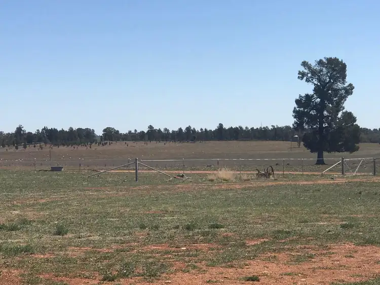 Seventh view of Homely house listing, LOT 287 Newell Highway, Trewilga NSW 2869