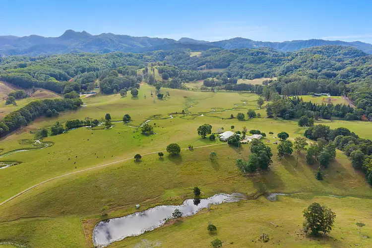 Main view of Homely rural property listing, 24 Bryens Road, Nobbys Creek NSW 2484