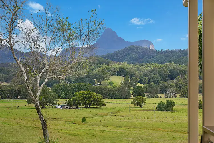 Third view of Homely rural property listing, 24 Bryens Road, Nobbys Creek NSW 2484