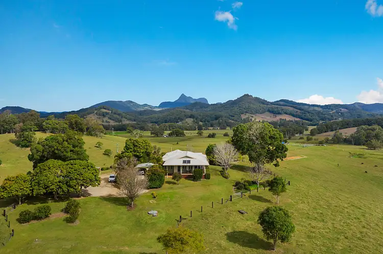 Fifth view of Homely rural property listing, 24 Bryens Road, Nobbys Creek NSW 2484