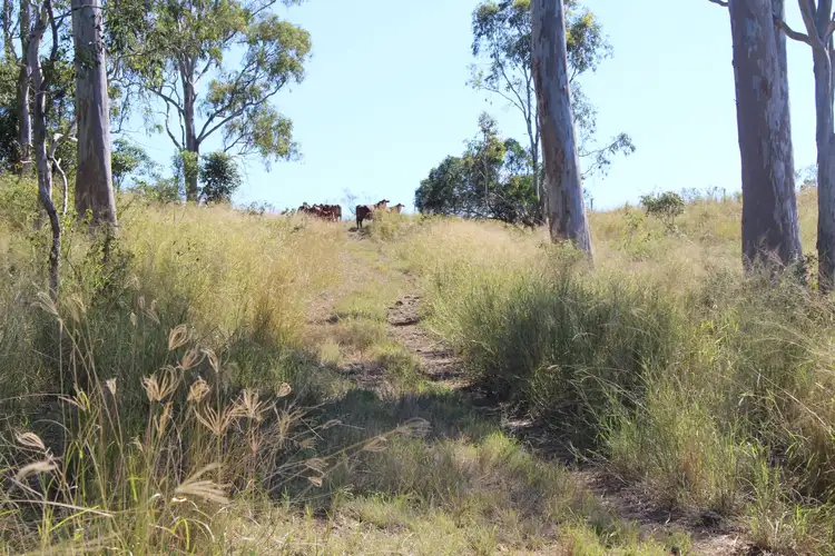 Second view of Homely rural property listing, 0 Repeater Station Road, Gunalda QLD 4570
