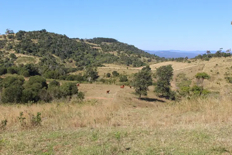 Sixth view of Homely rural property listing, 0 Repeater Station Road, Gunalda QLD 4570