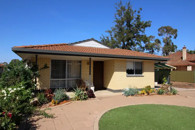 8/165 Eighteenth Street, Renmark SA 5341