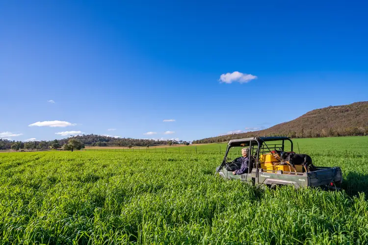 63 Kiembah Lane, Eugowra NSW 2806