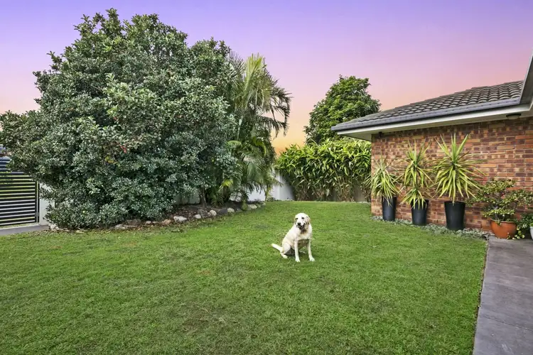 Fifth view of Homely house listing, 275 Ron Penhaligon Way, Robina QLD 4226