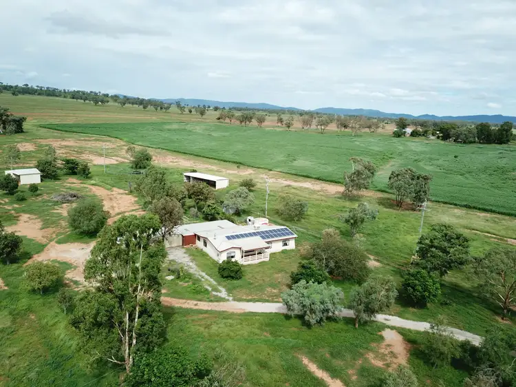 Main view of Homely rural property listing, 387 Soldiers Settlement Road, Tamworth NSW 2340