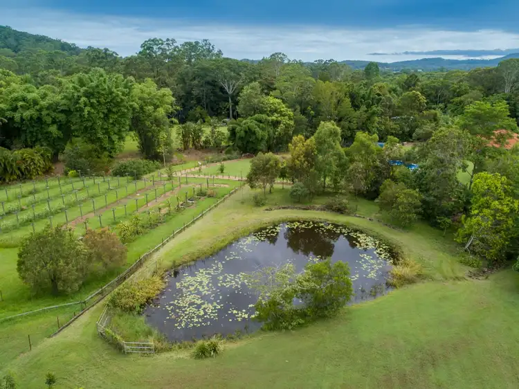 Third view of Homely rural property listing, 54 Jensen Road, Ninderry QLD 4561