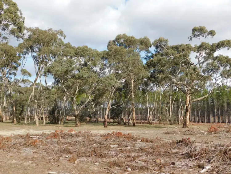 Sixth view of Homely rural property listing, Lot 8 Bangham Road, Bangham SA 5268