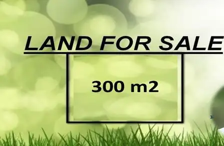 Lot 2184 Gecko Street, Marsden Park NSW 2765