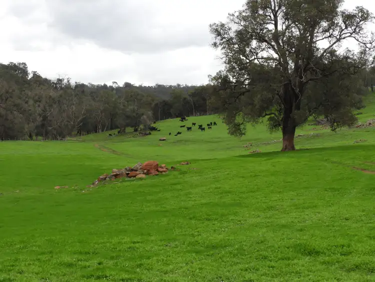 Second view of Homely rural property listing, Lots 1280, 779,595,584,559,775, Lower Chittering Road, Chittering WA 6084