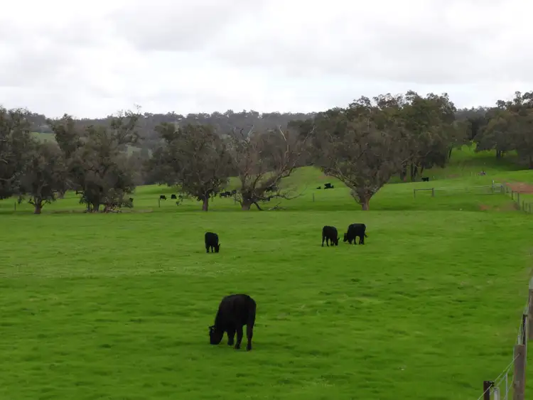 Third view of Homely rural property listing, Lots 1280, 779,595,584,559,775, Lower Chittering Road, Chittering WA 6084