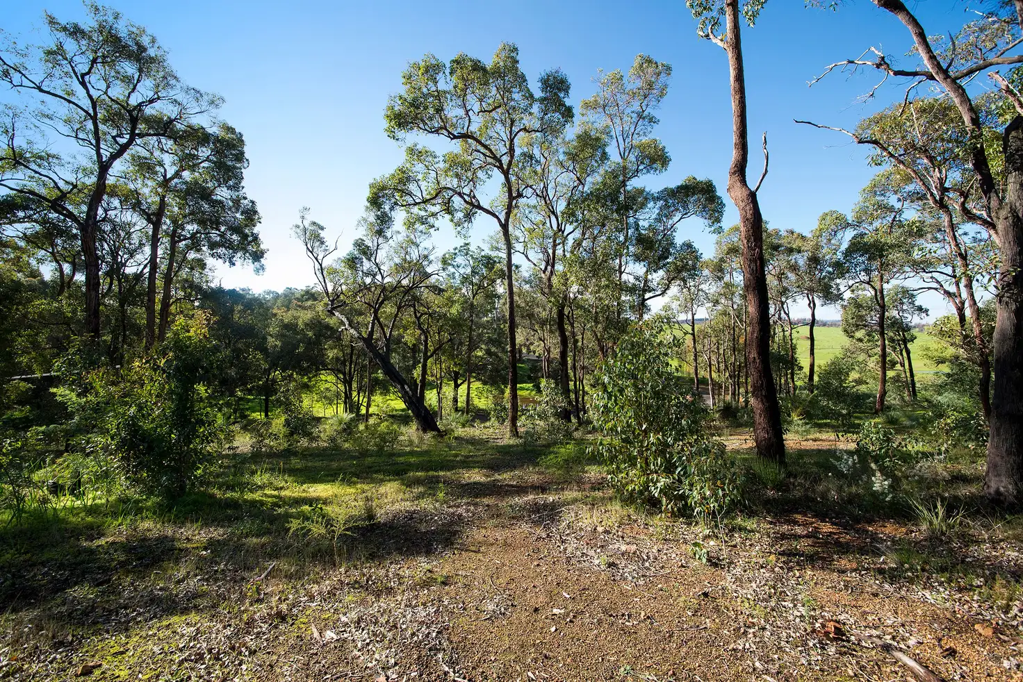Main view of Homely land listing, 703 Struthers Street, Nannup WA 6275