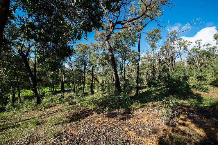 Seventh view of Homely land listing, 703 Struthers Street, Nannup WA 6275