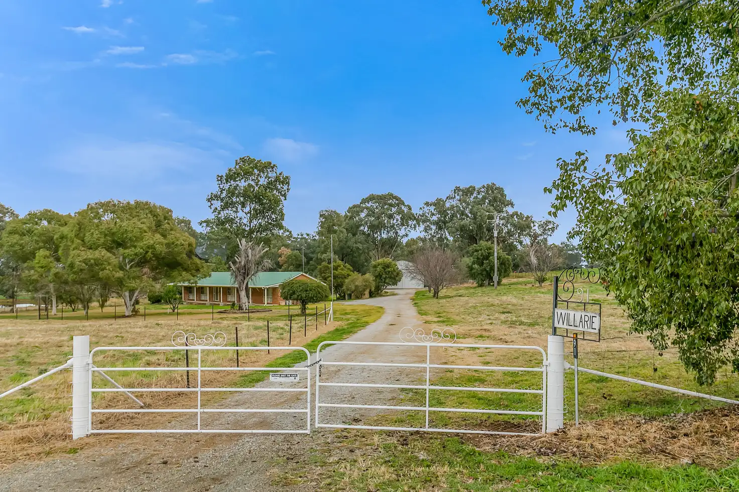 Main view of Homely rural property listing, 'Willarie' 91 Martins Lane, Tamworth NSW 2340