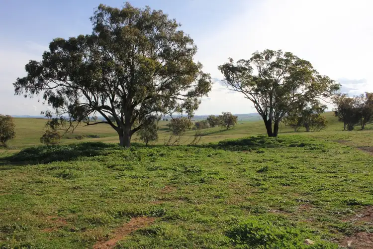 Fourth view of Homely rural property listing, Address available on request