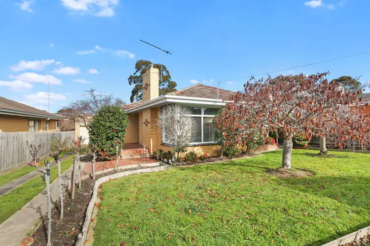 17 Kidman Avenue, Belmont VIC 3216