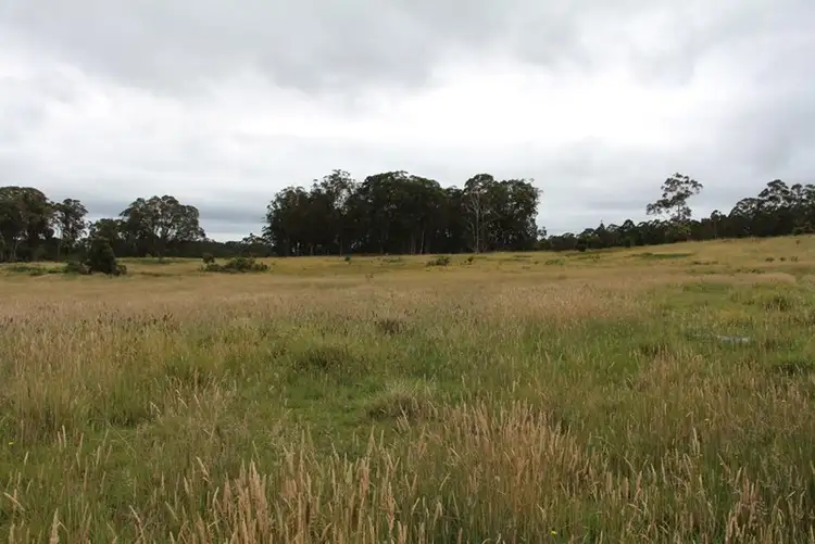 Fifth view of Homely rural property listing, 1764 "Westwood" Guyra Road, Wongwibinda NSW 2350