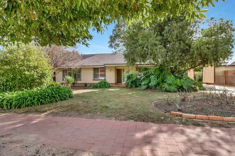 104 Pyap Street, Renmark SA 5341