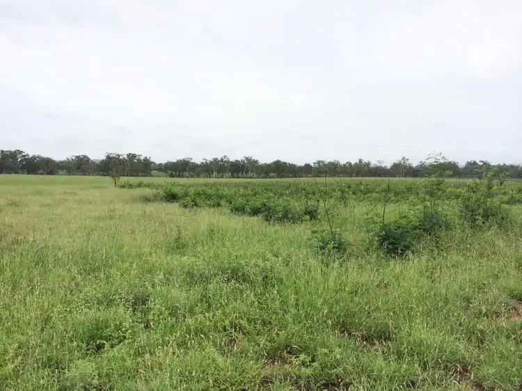 Lot 55 & 79 Burnett Highway, Eidsvold QLD 4627