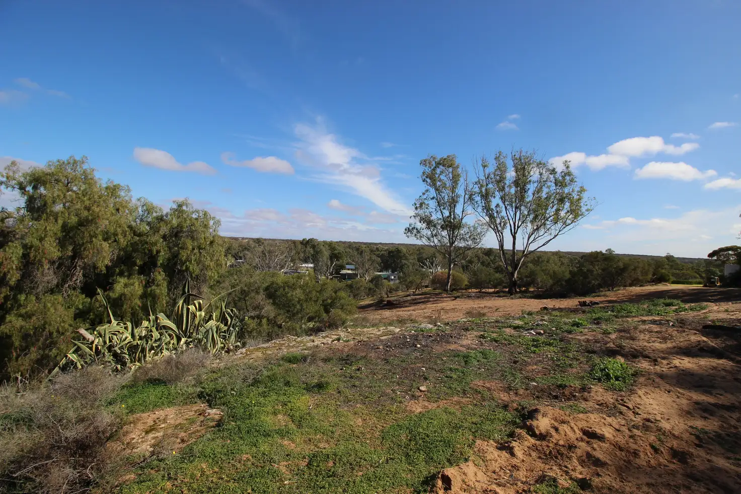 Main view of Homely land listing, 49 Idyll Avenue, Murbko SA 5320