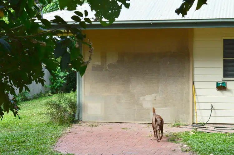 Seventh view of Homely house listing, 47 Bingil Bay Road, Bingil Bay QLD 4852