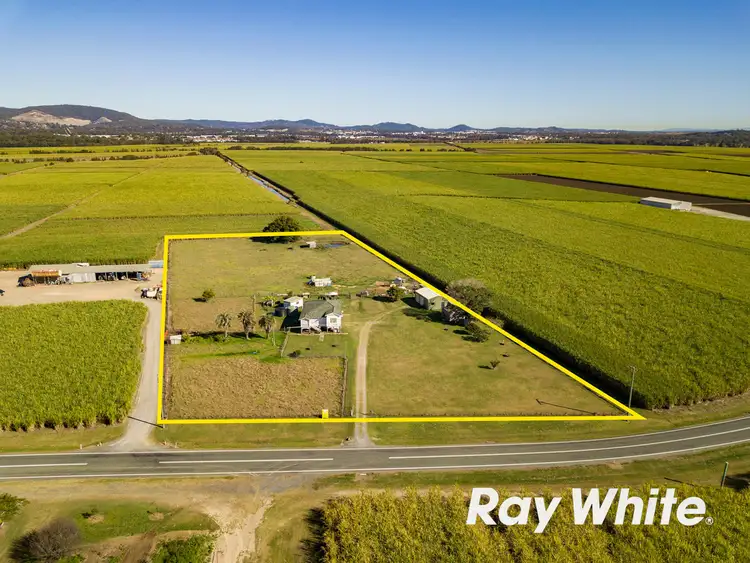 Main view of Homely rural property listing, 262 - 264 Norwell Road, Norwell QLD 4208
