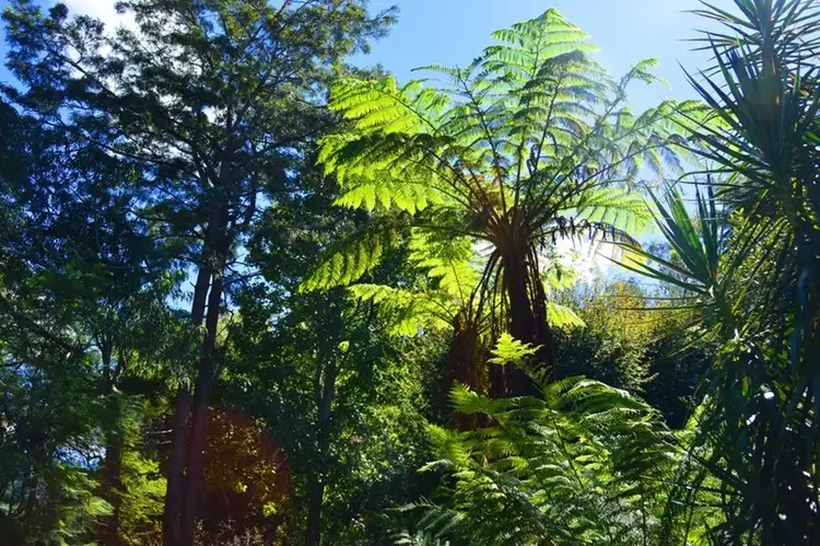 Seventh view of Homely house listing, 10 Coreen Avenue, West Wollongong NSW 2500