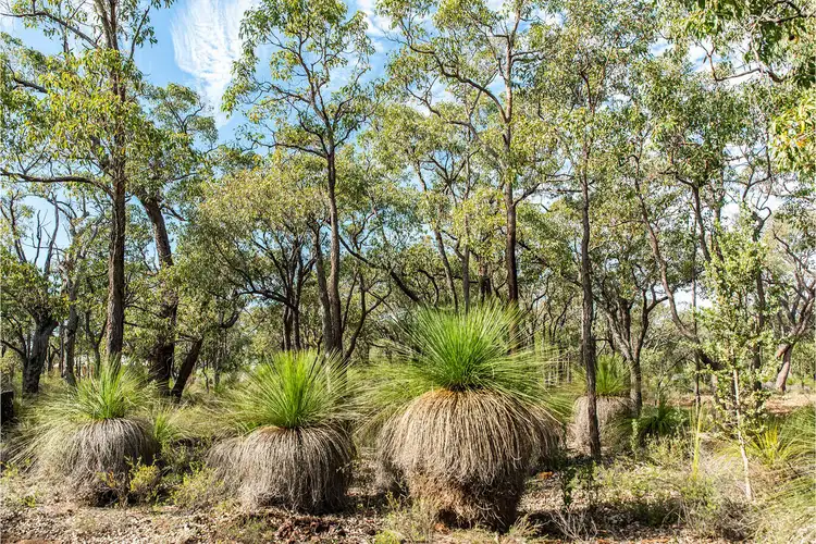 Second view of Homely land listing, 131 Willaring Way, Chittering WA 6084