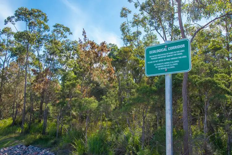 Sixth view of Homely land listing, Lot 211 Skye Street, Scarborough Park, Morisset NSW 2264