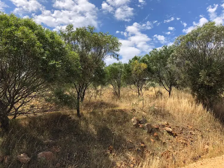 Third view of Homely land listing, 29 John Street, Northampton WA 6535