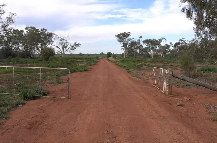 Second view of Homely rural property listing, Farm 3953 Gilgai Road, Hermidale NSW 2831