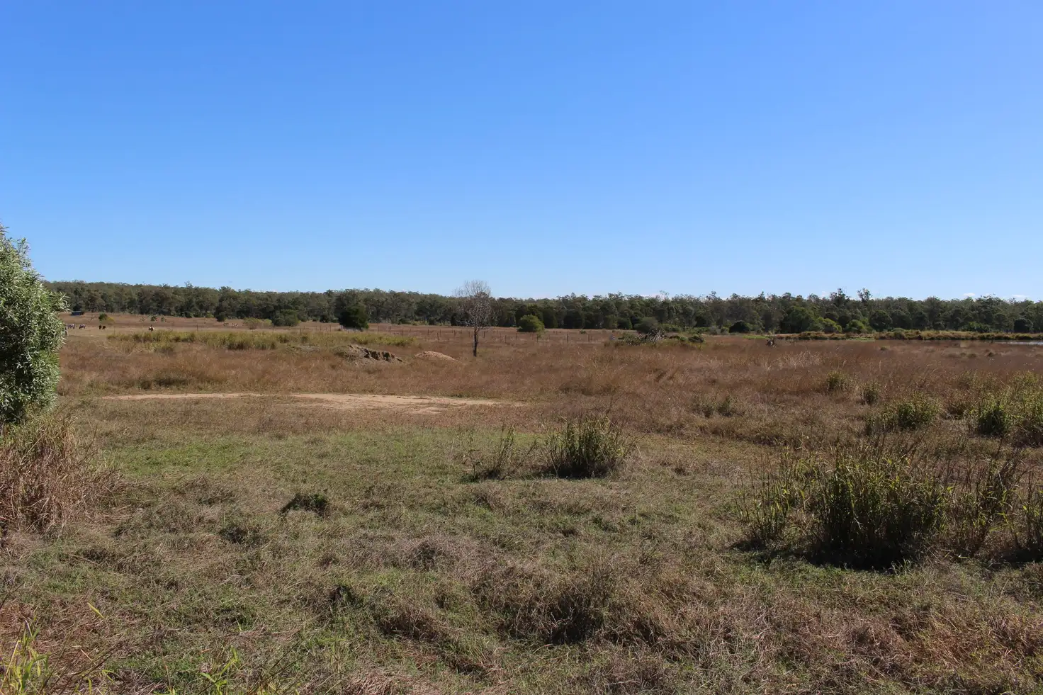Main view of Homely land listing, 2899 Forest Hill Fernvale, Lowood QLD 4311