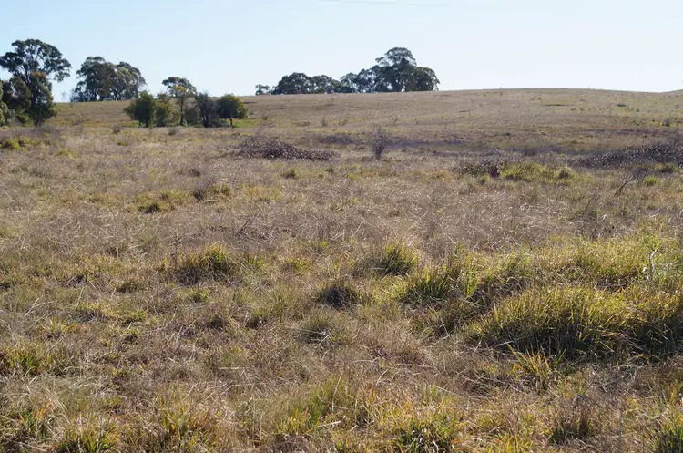 134 Long Swamp Road, Forest Reefs NSW 2798