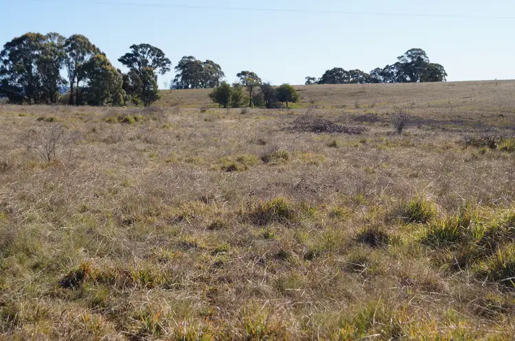 Second view of Homely land listing, 134 Long Swamp Road, Forest Reefs NSW 2798
