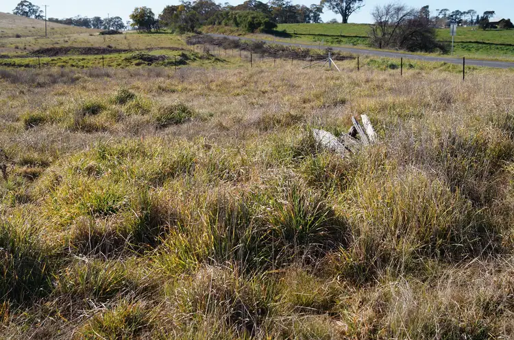 Fifth view of Homely land listing, 134 Long Swamp Road, Forest Reefs NSW 2798