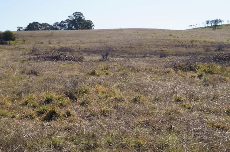 Sixth view of Homely land listing, 134 Long Swamp Road, Forest Reefs NSW 2798