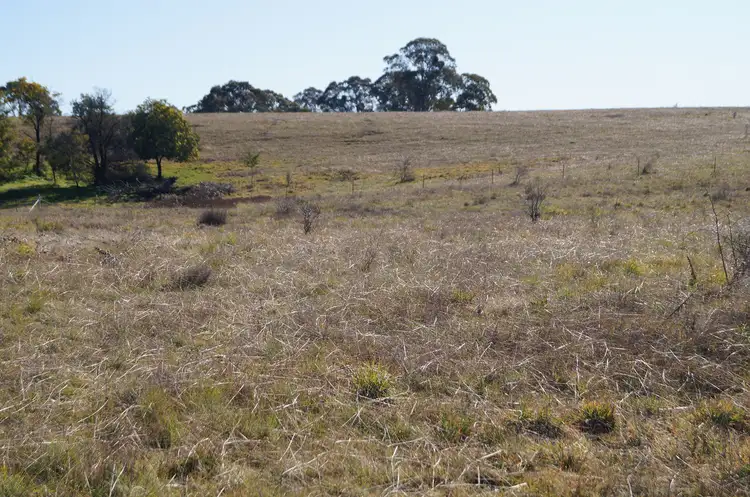 Seventh view of Homely land listing, 134 Long Swamp Road, Forest Reefs NSW 2798